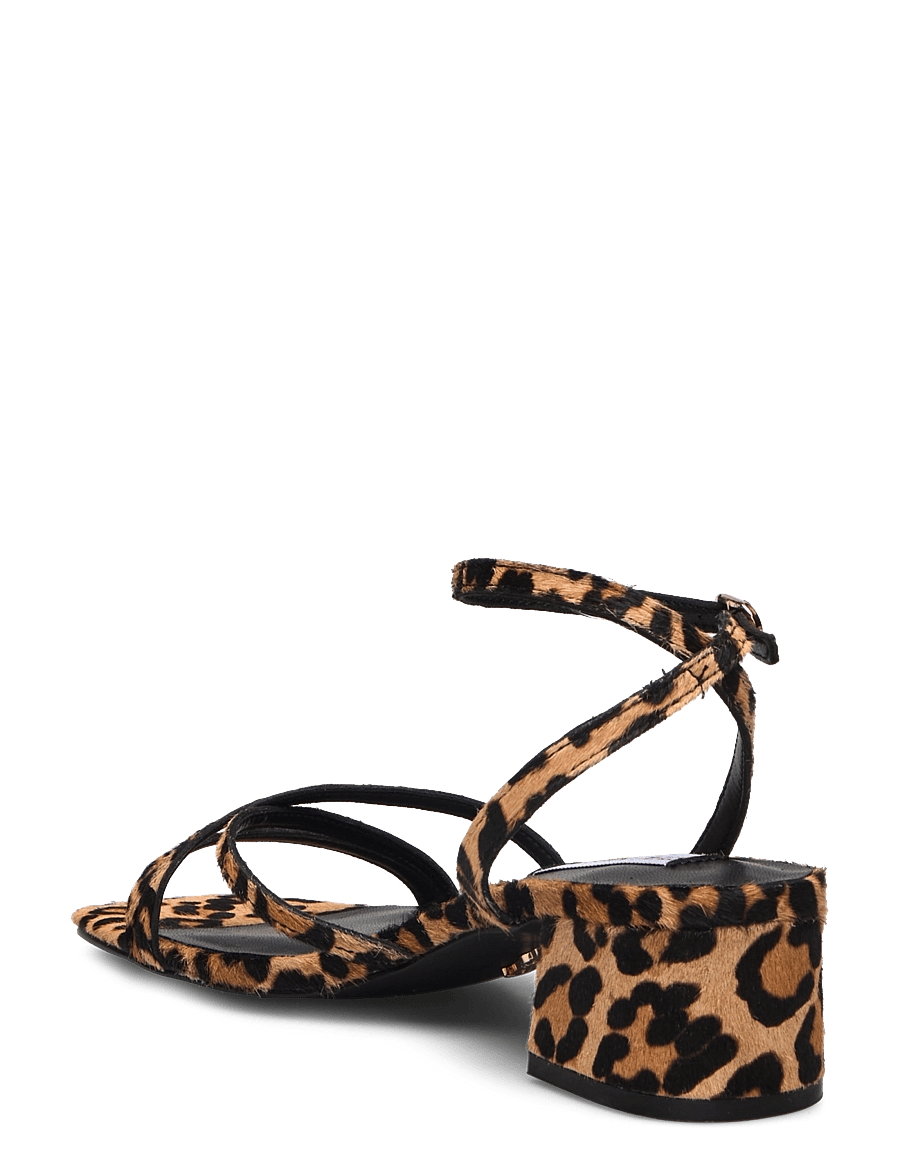 Steve Madden - Gabby-L Sandal - kontsaga sandaalid - leopard - 2