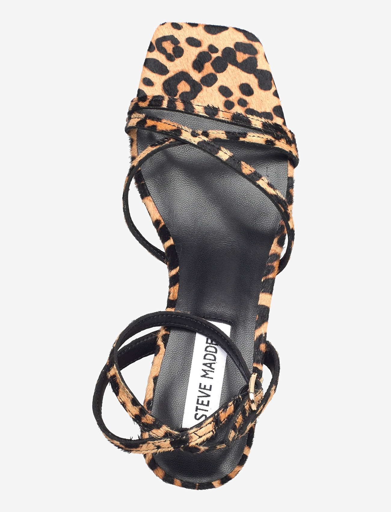 Steve Madden - Gabby-L Sandal - sandaletten - leopard - 3