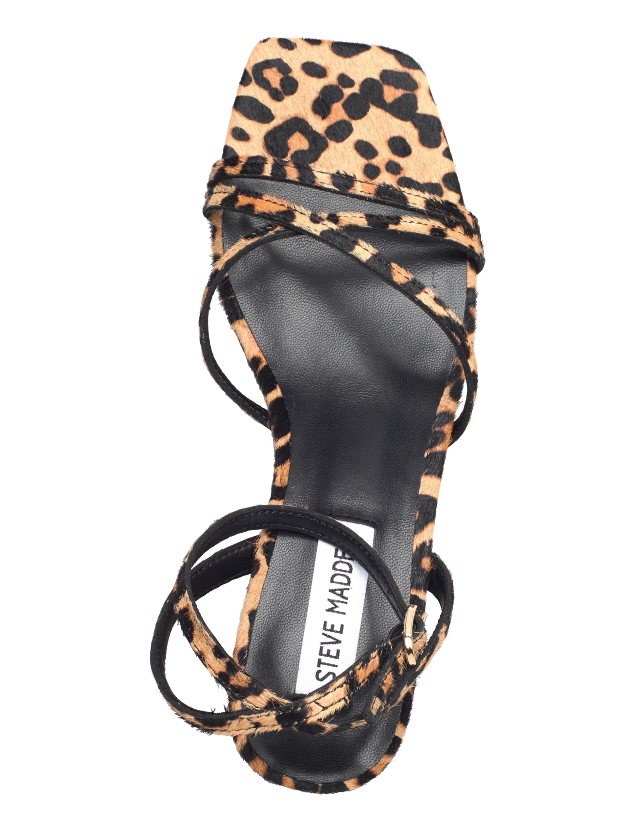 Steve Madden - Gabby-L Sandal - festmode zu outlet-preisen - leopard - 3