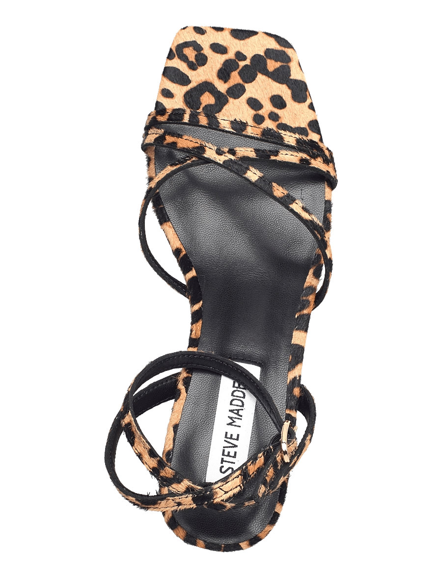 Steve Madden - Gabby-L Sandal - kontsaga sandaalid - leopard - 3