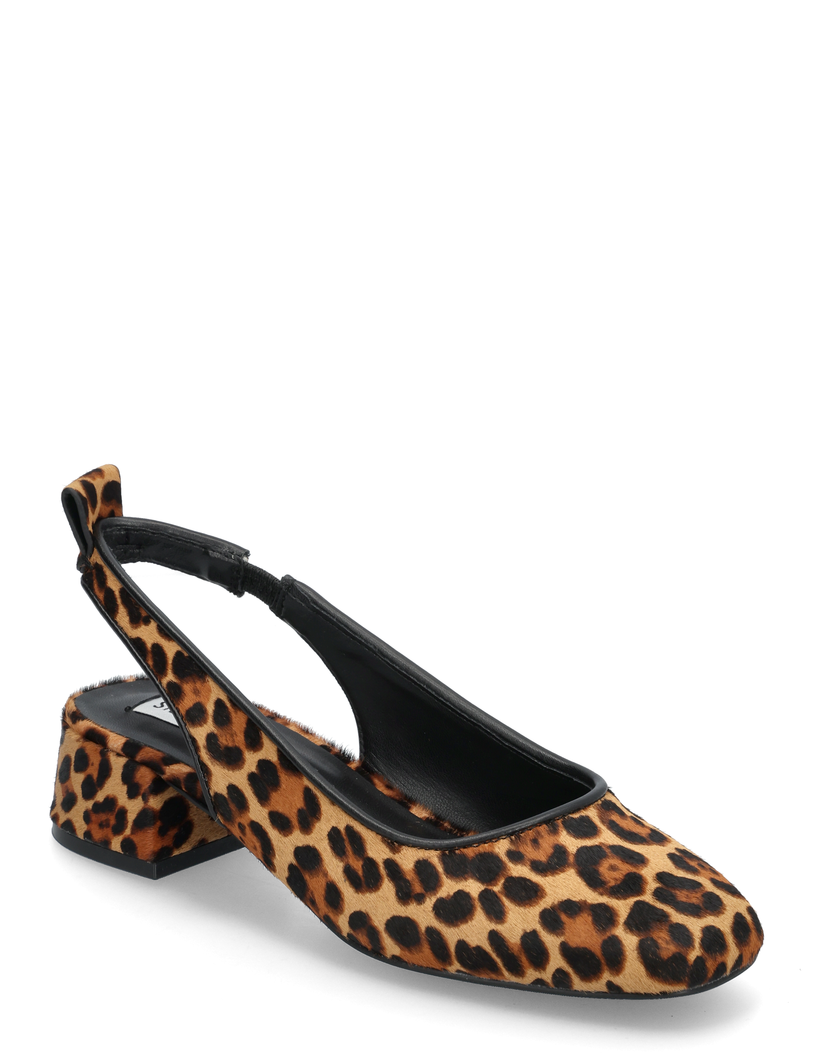 Steve Madden Smitten-LP Sandals - Slingbacks - LEOPARD / brown
