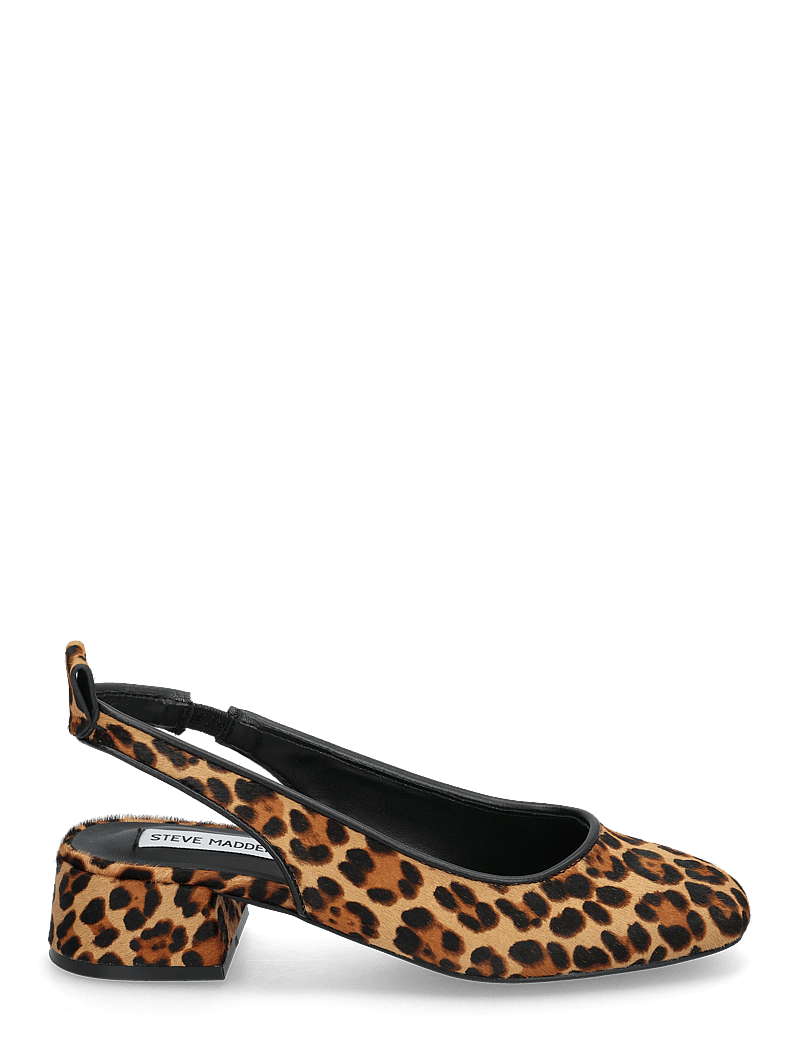 Steve Madden - Smitten-LP Sandals - heeled slingbacks - leopard - 1
