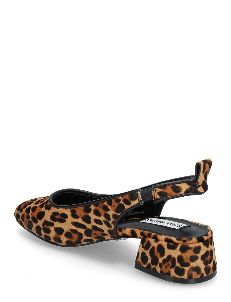 Steve Madden - Smitten-LP Sandals - heeled slingbacks - leopard - 2