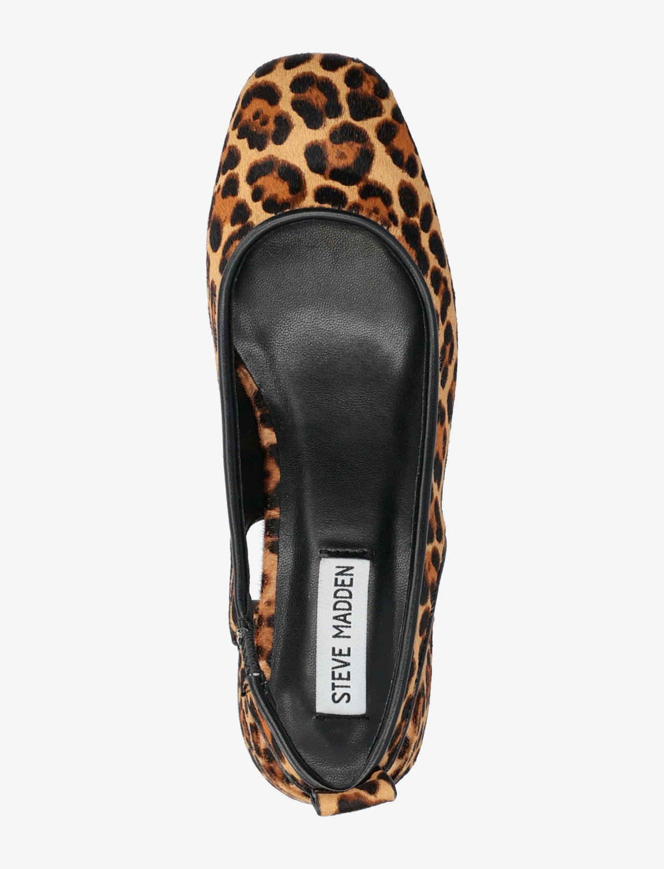 Steve Madden - Smitten-LP Sandals - heeled slingbacks - leopard - 3