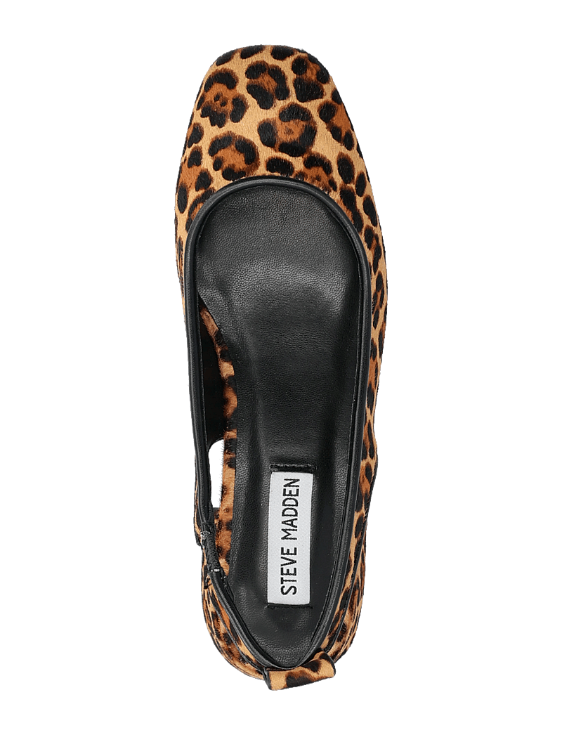 Steve Madden - Smitten-LP Sandals - heeled slingbacks - leopard - 3