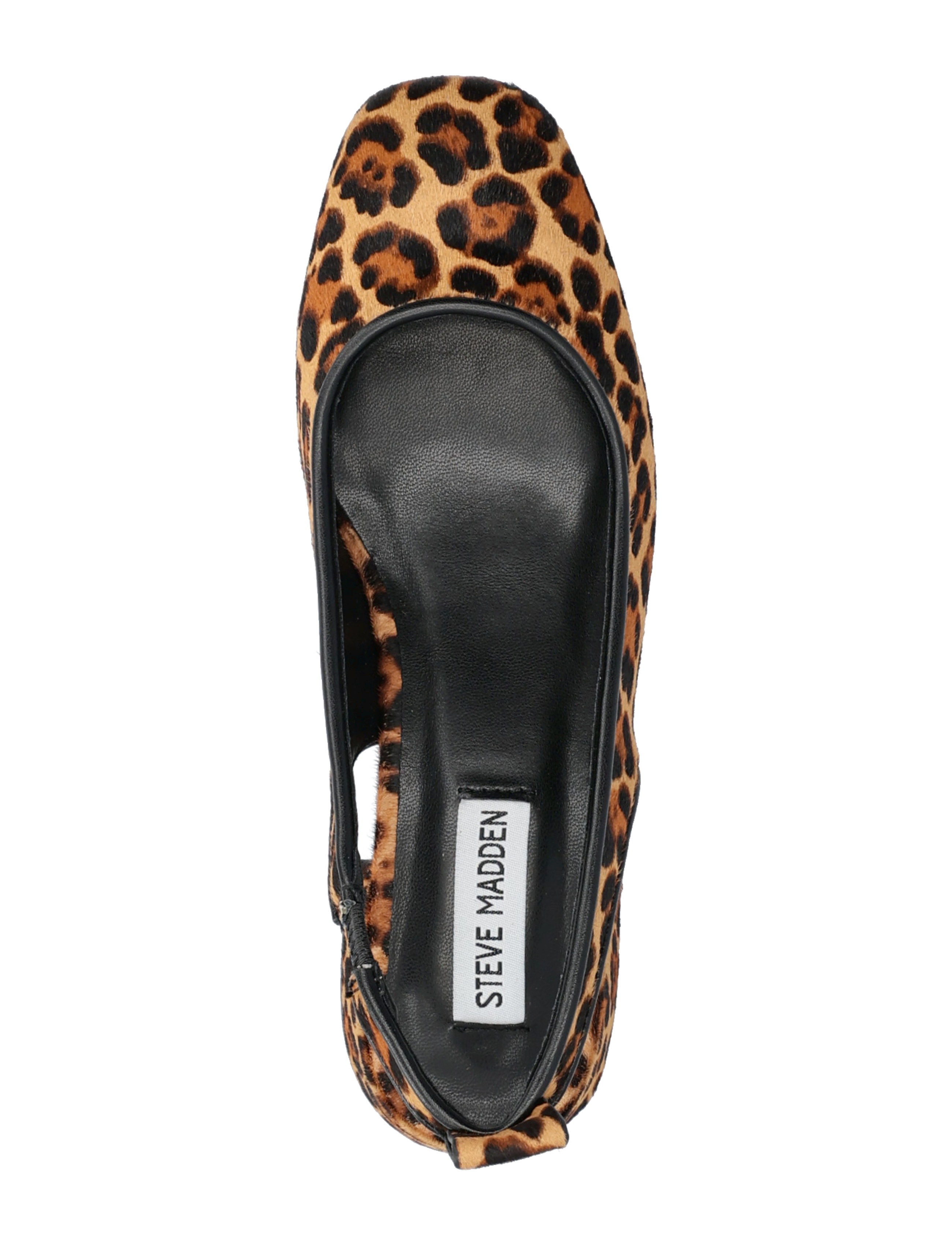 Steve Madden - Smitten-LP Sandals - kvinner - leopard - 3