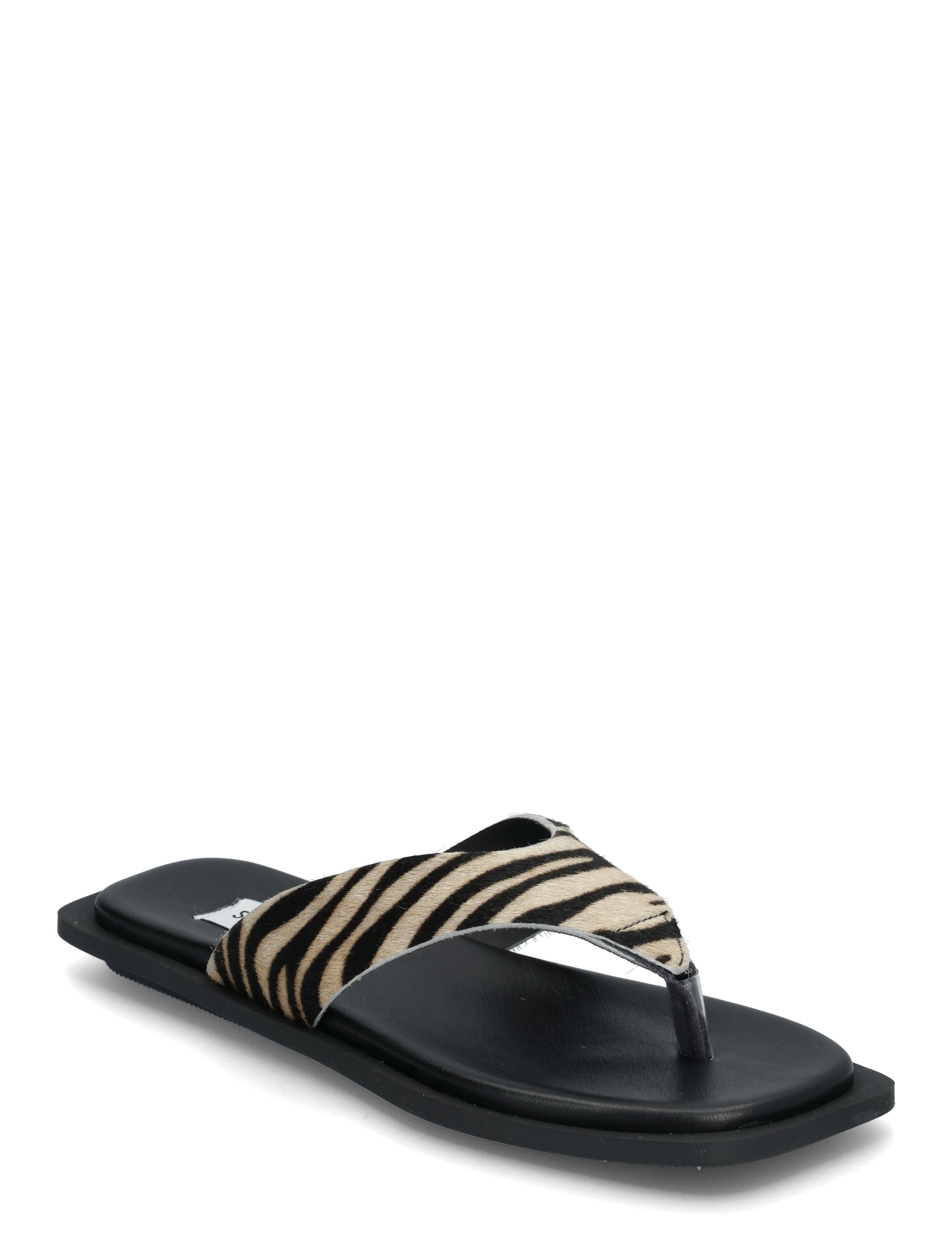 Steve Madden Splash-L Sandals - Sandalen - ZEBRA / black