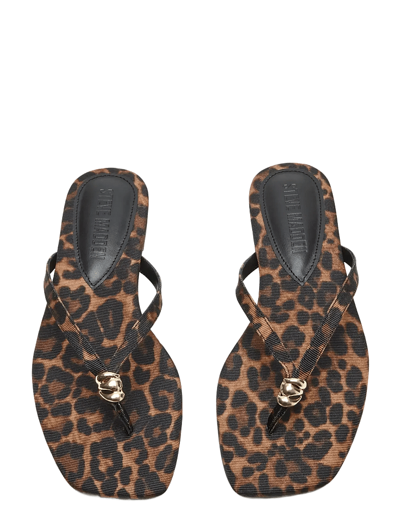 Steve Madden - Maliyah - flade sandaler - leopard - 3