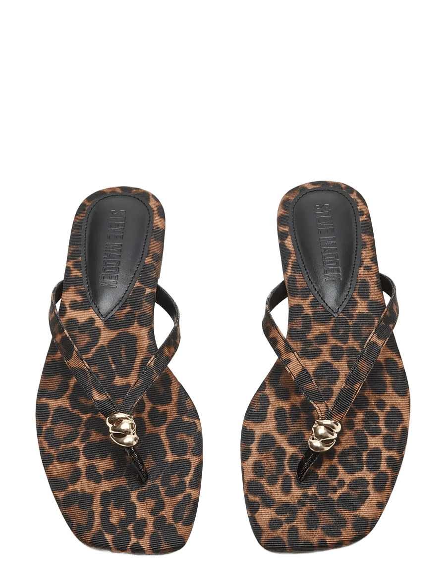 Steve Madden - Maliyah - platta sandaler - leopard - 3