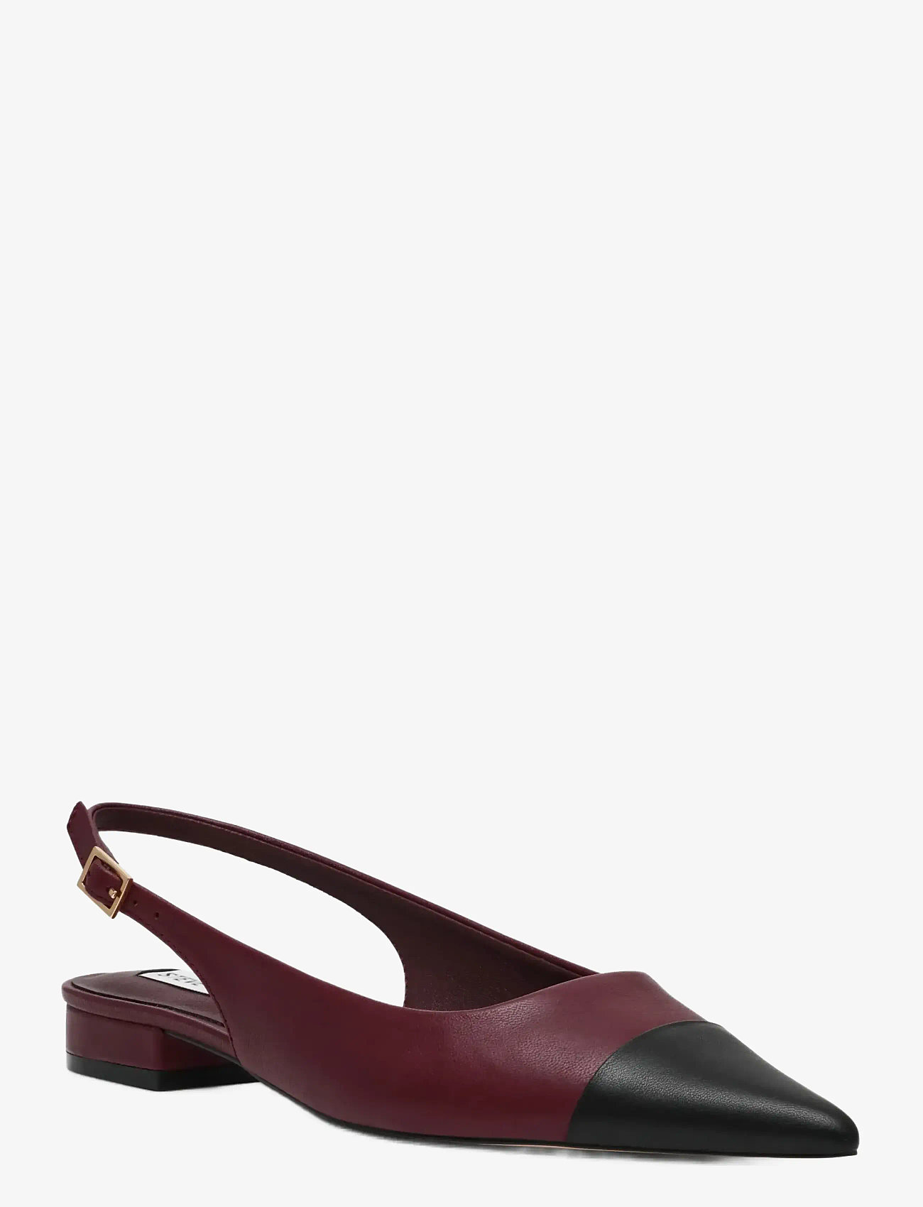 Steve Madden - Rowyn - slingbacks - blk/burg - 0