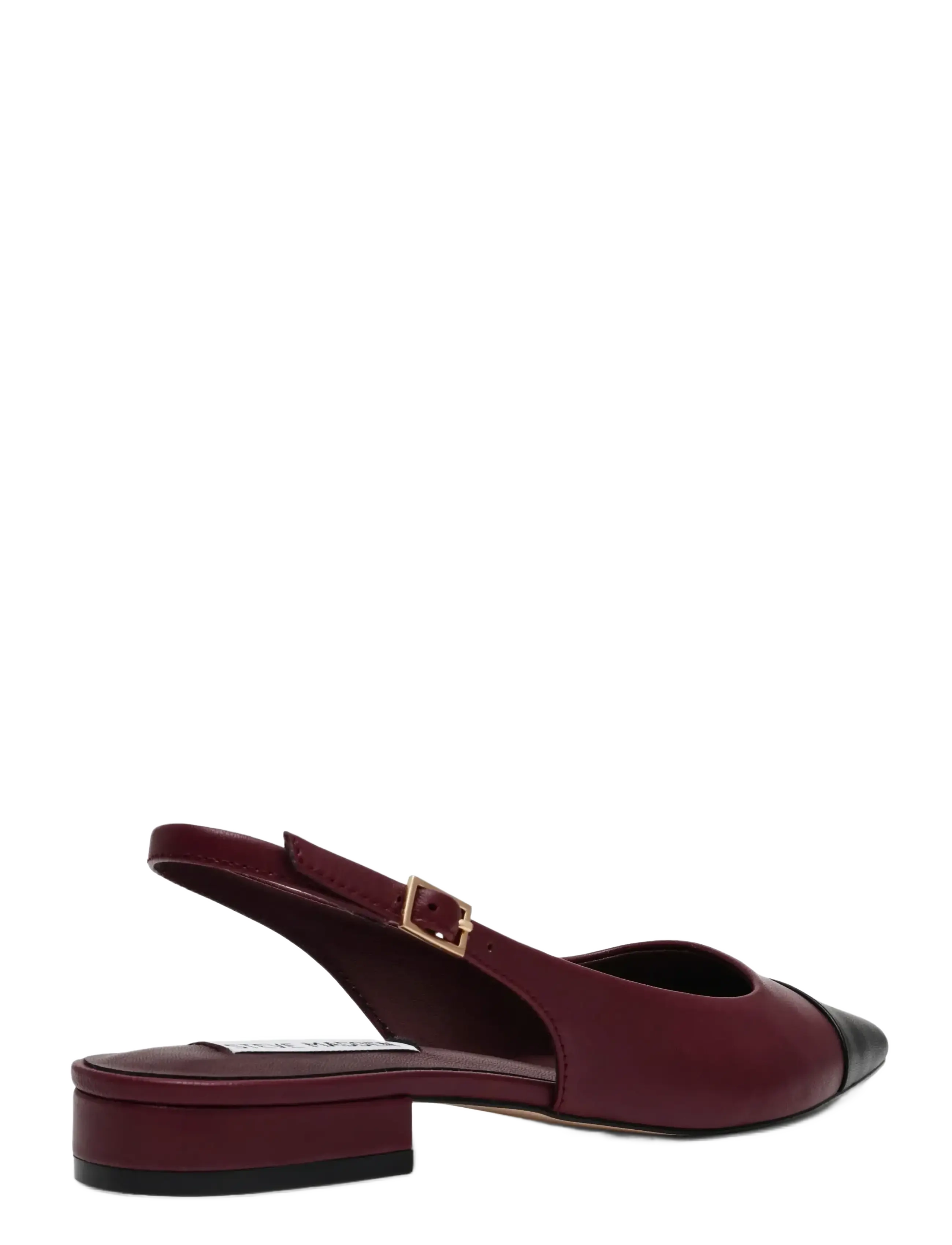Steve Madden - Rowyn - special occasions - blk/burg - 2
