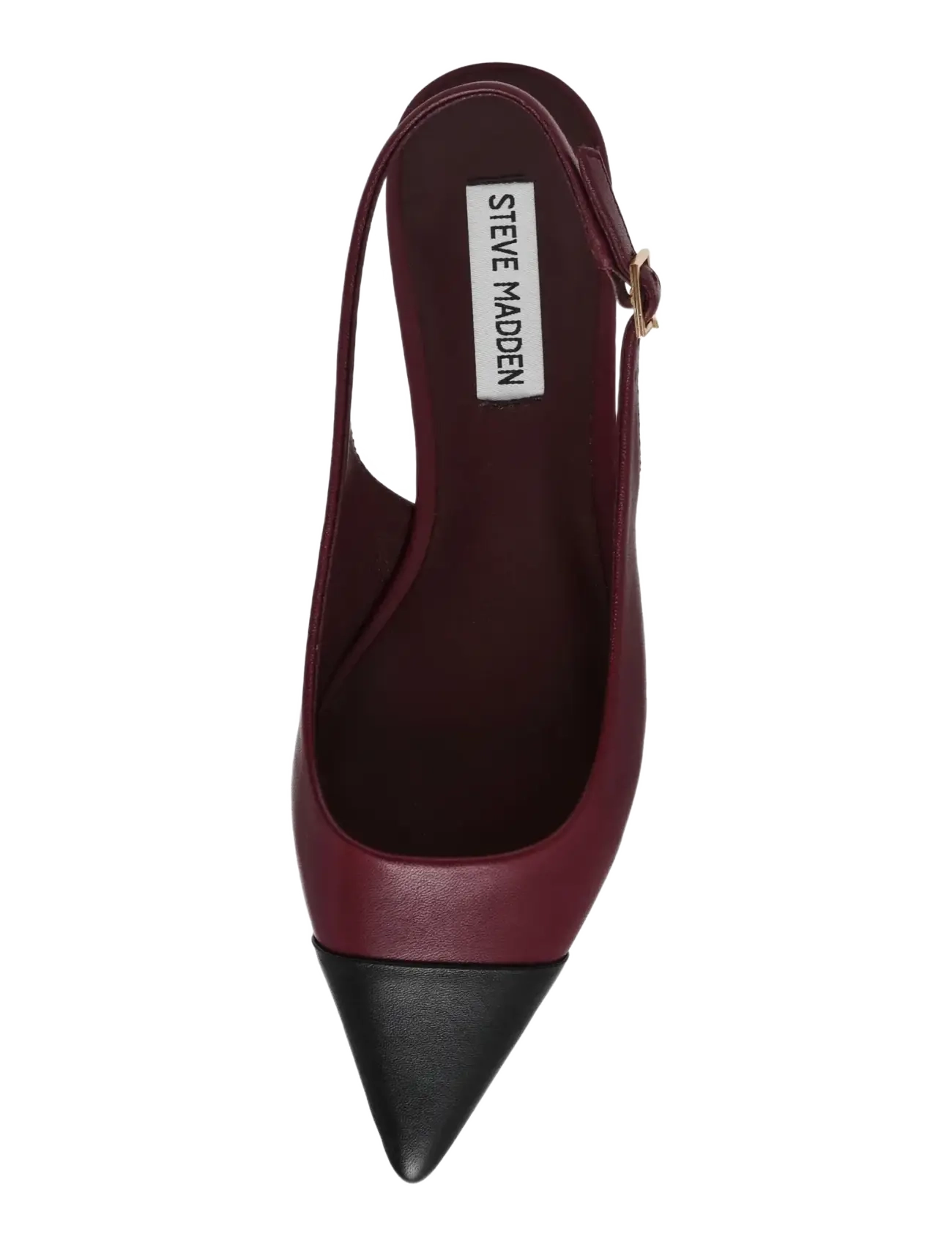 Steve Madden - Rowyn - special occasions - blk/burg - 5