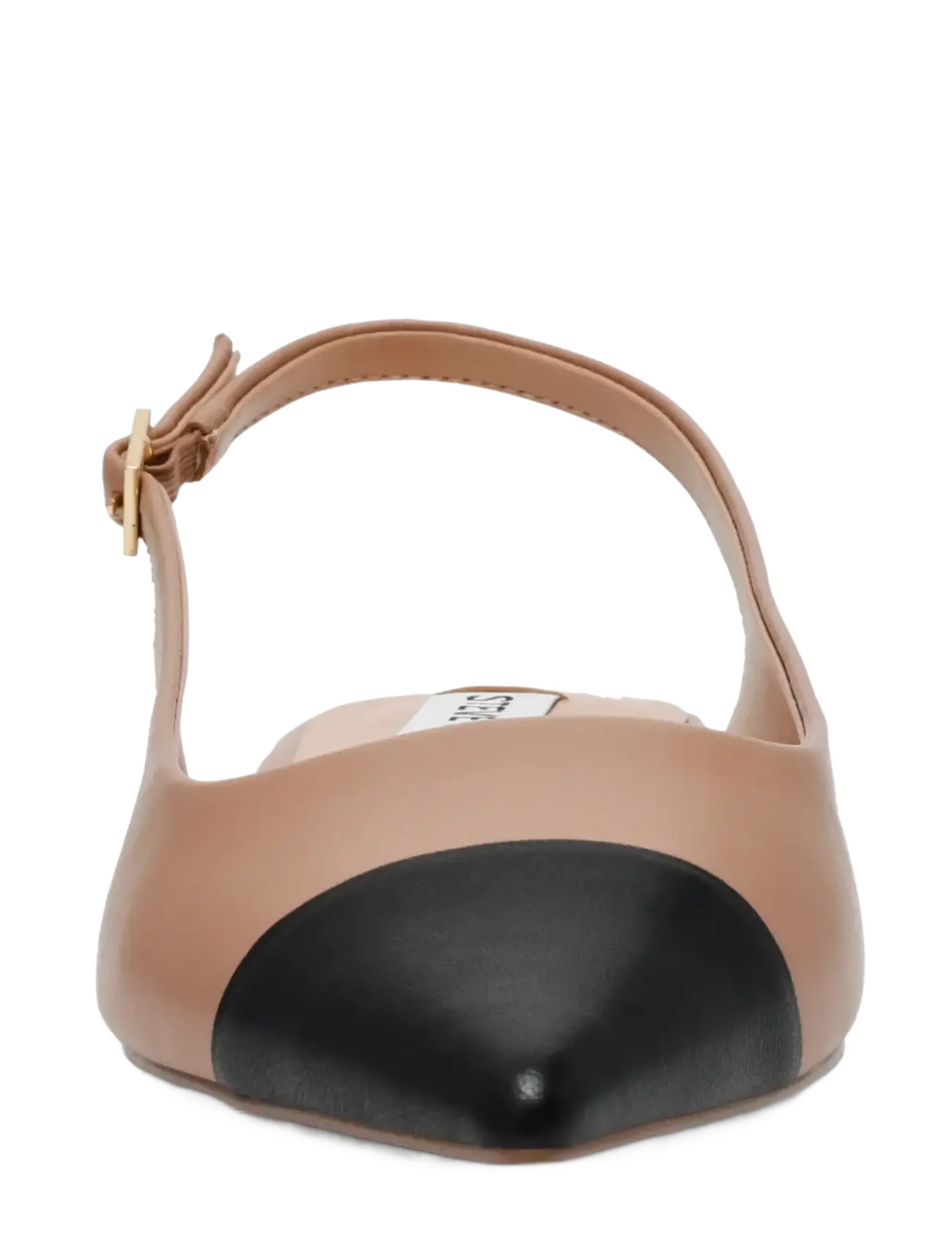 Steve Madden - Rowyn - besondere anlässe - blush/black - 3