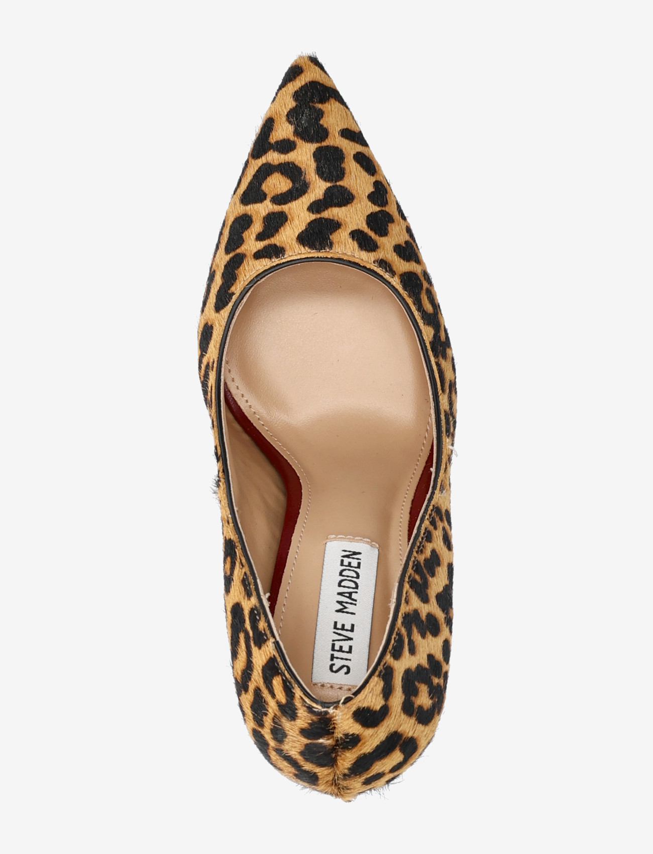 Steve Madden - Thrive-L - stiletter & pumps - leopard - 3