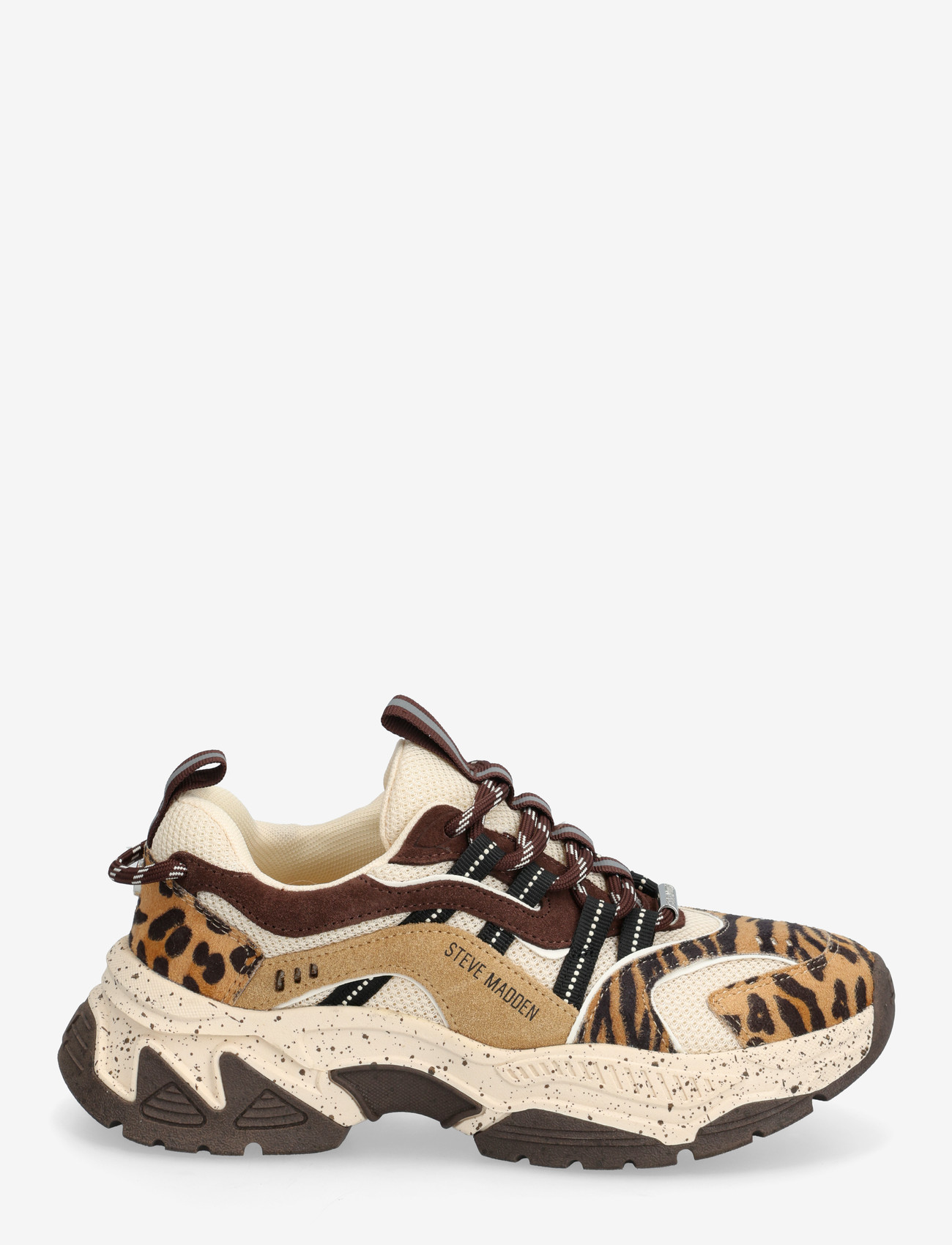 Steve Madden - Animates-LE - paksu tallaga tossud - brn leopard - 1