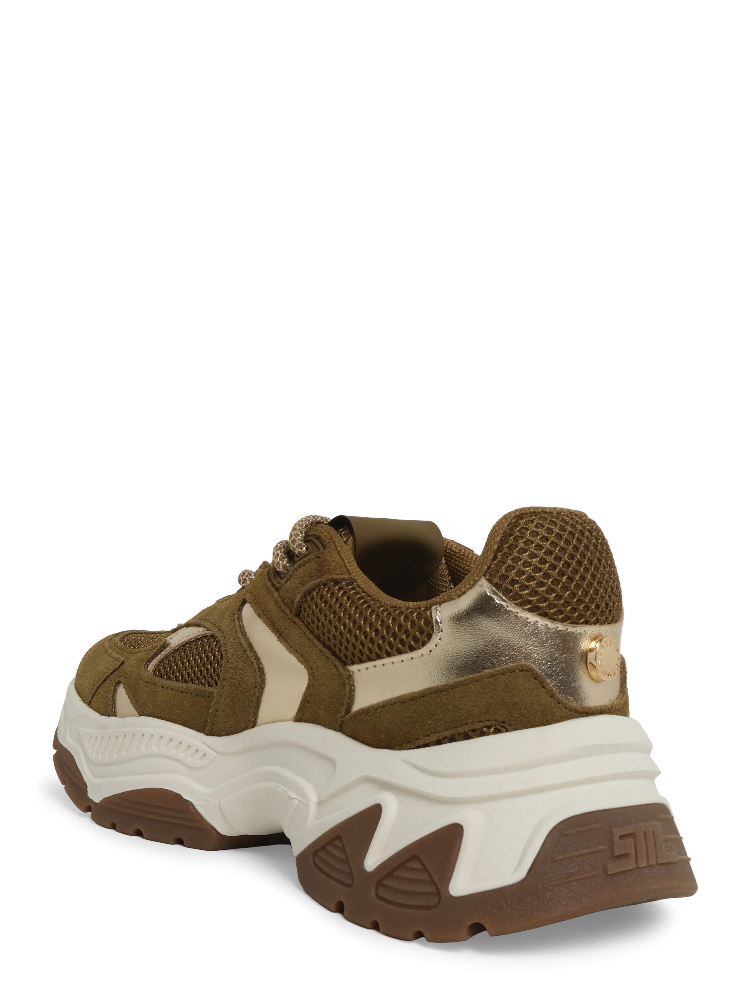 Steve Madden - Ample - low tops - khaki/olive - 1