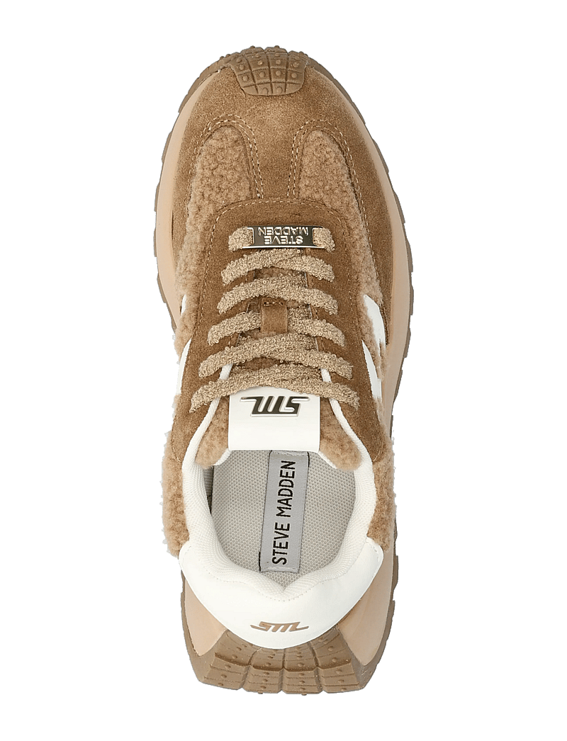 Steve Madden - Supercampo-F - baskets basses - chestnut - 3