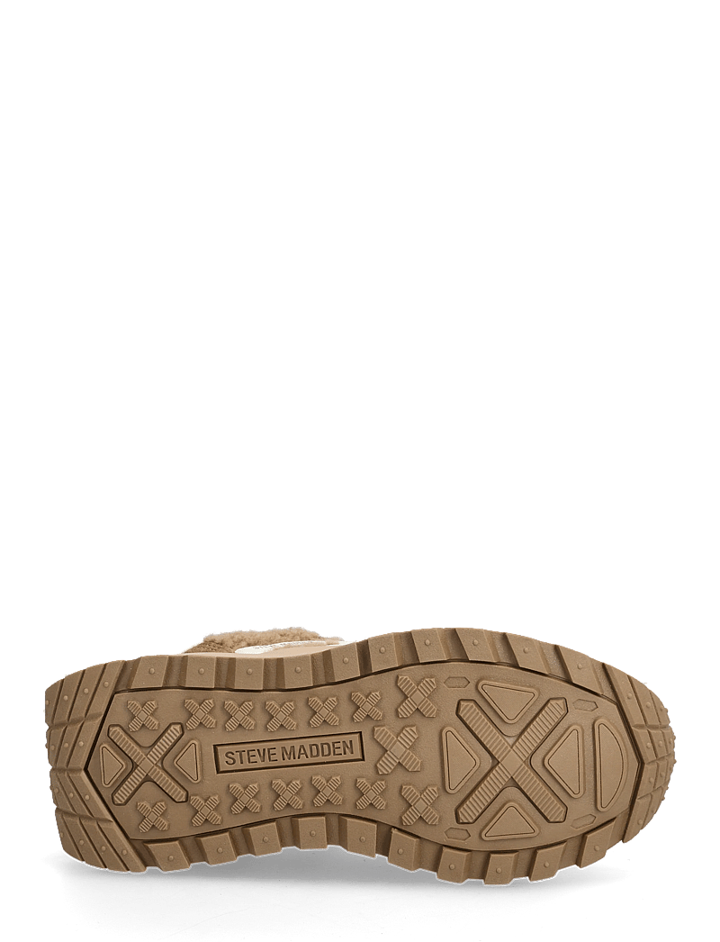 Steve Madden - Supercampo-F - baskets basses - chestnut - 4