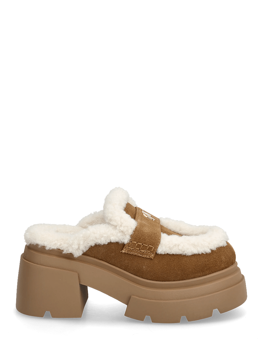 Steve Madden - Turnpike - kontsaga muula-kingad - chsnut sue - 1