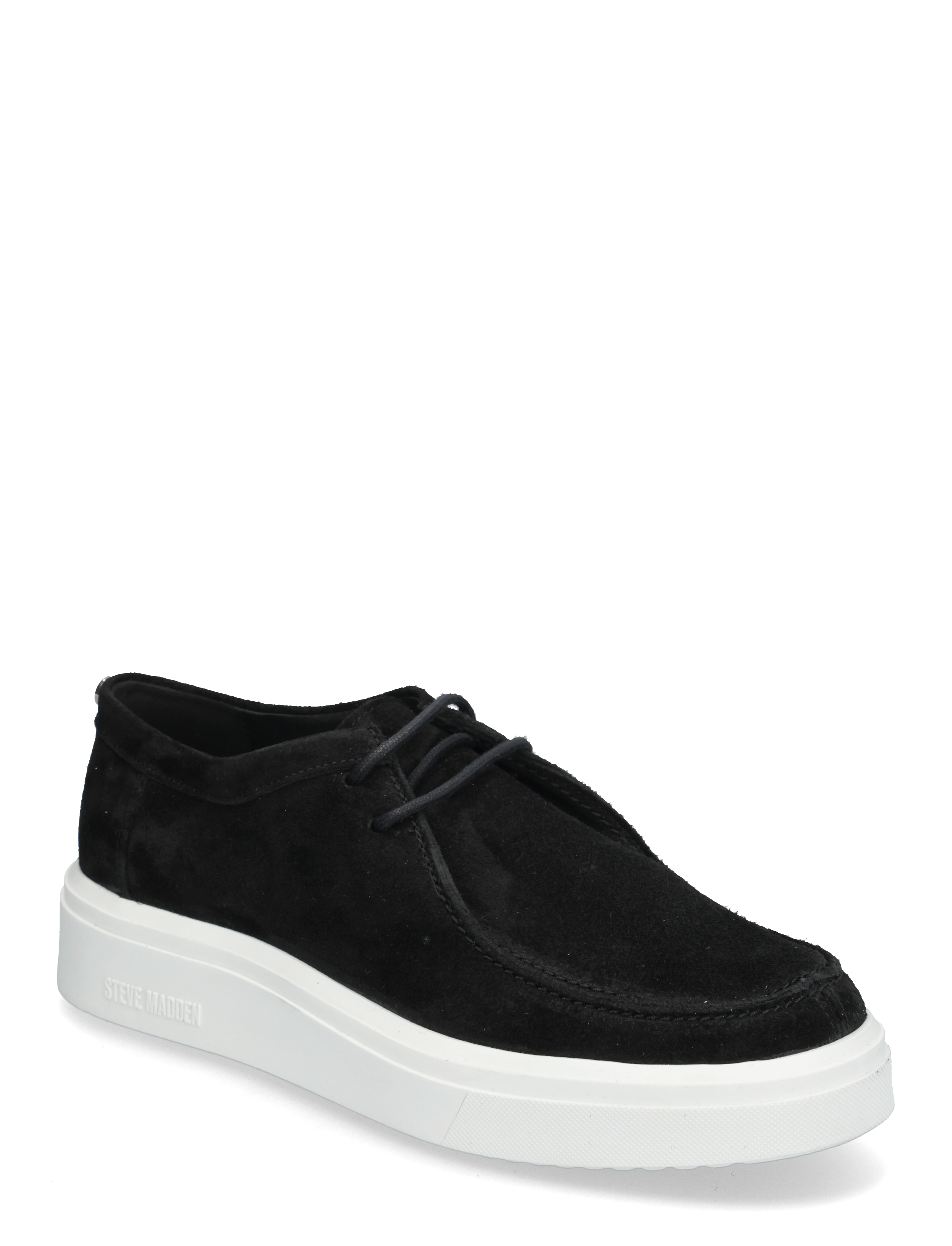 Steve Madden Fayles Sneaker - Sko - BLACK SUEDE / black