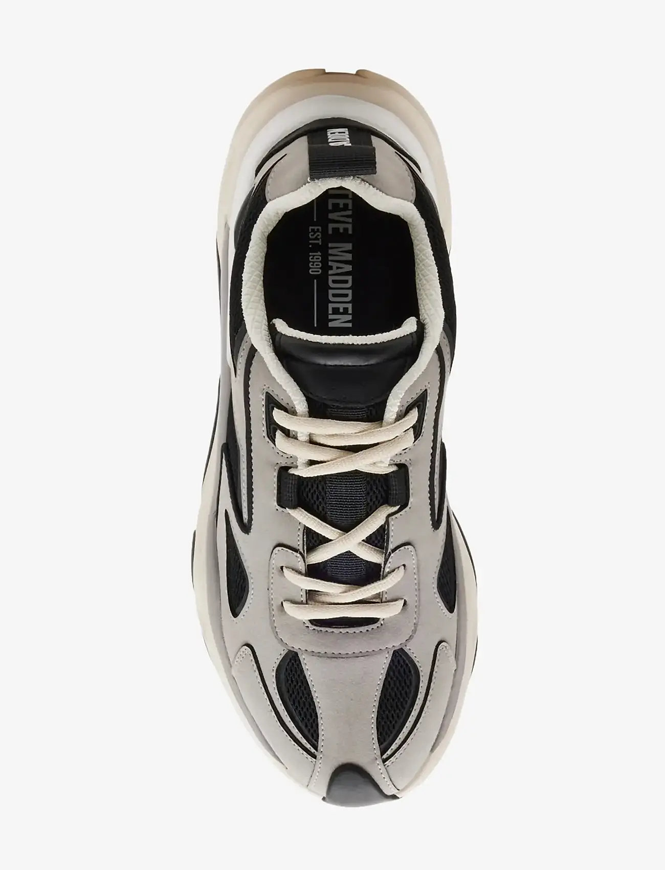 Steve Madden - Serpent - low tops - grey - 5