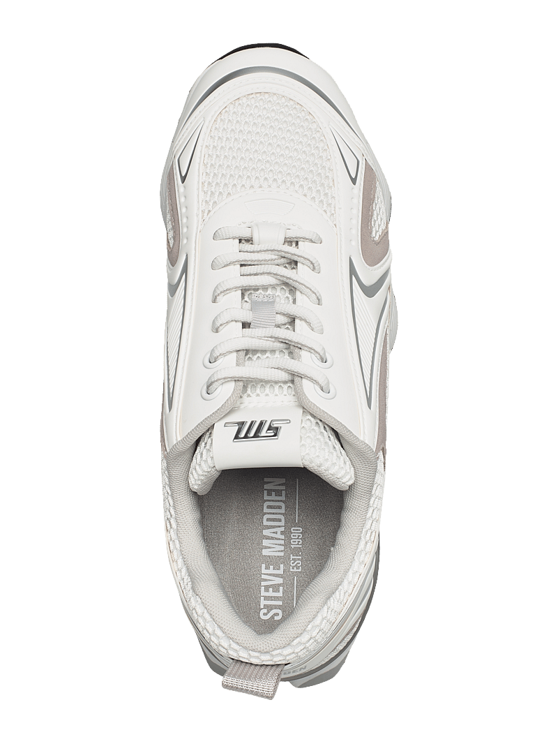 Steve Madden - Speedometer Sneaker - niedriger schnitt - white - 3