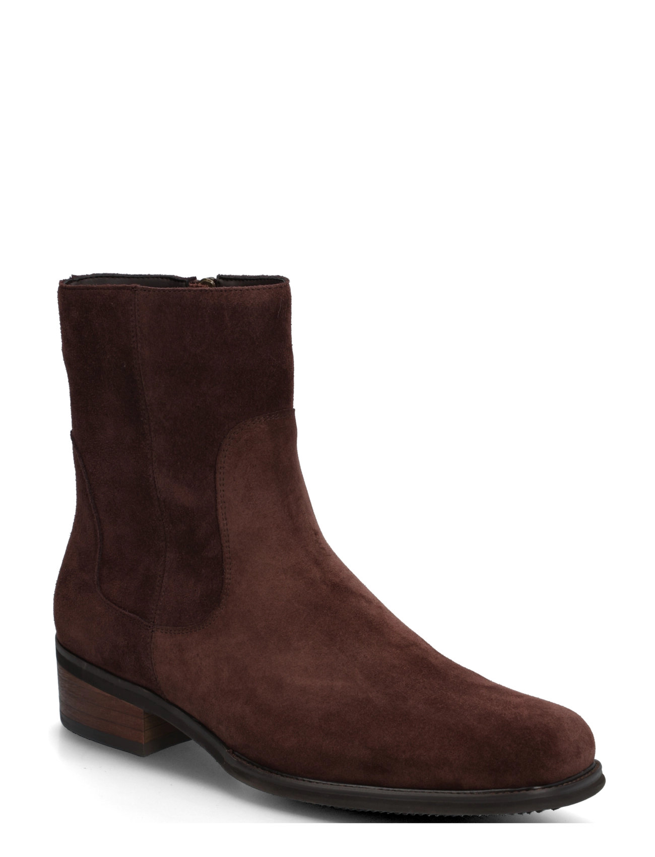 Steve Madden Jasper - Zābaki - CHOCOLATE BROWN SUEDE / brown
