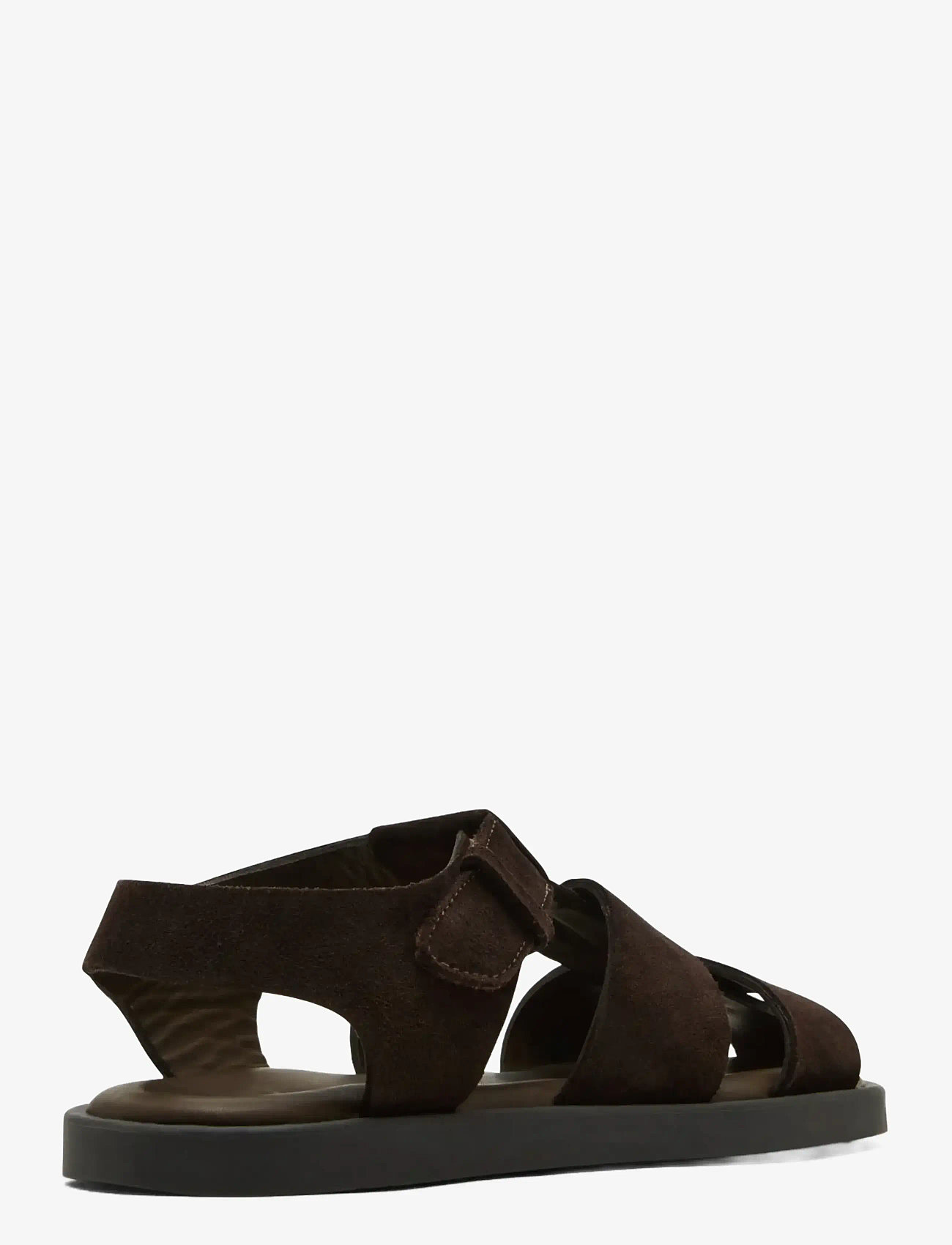 Steve Madden - Gannton - sandaalid - brown - 2