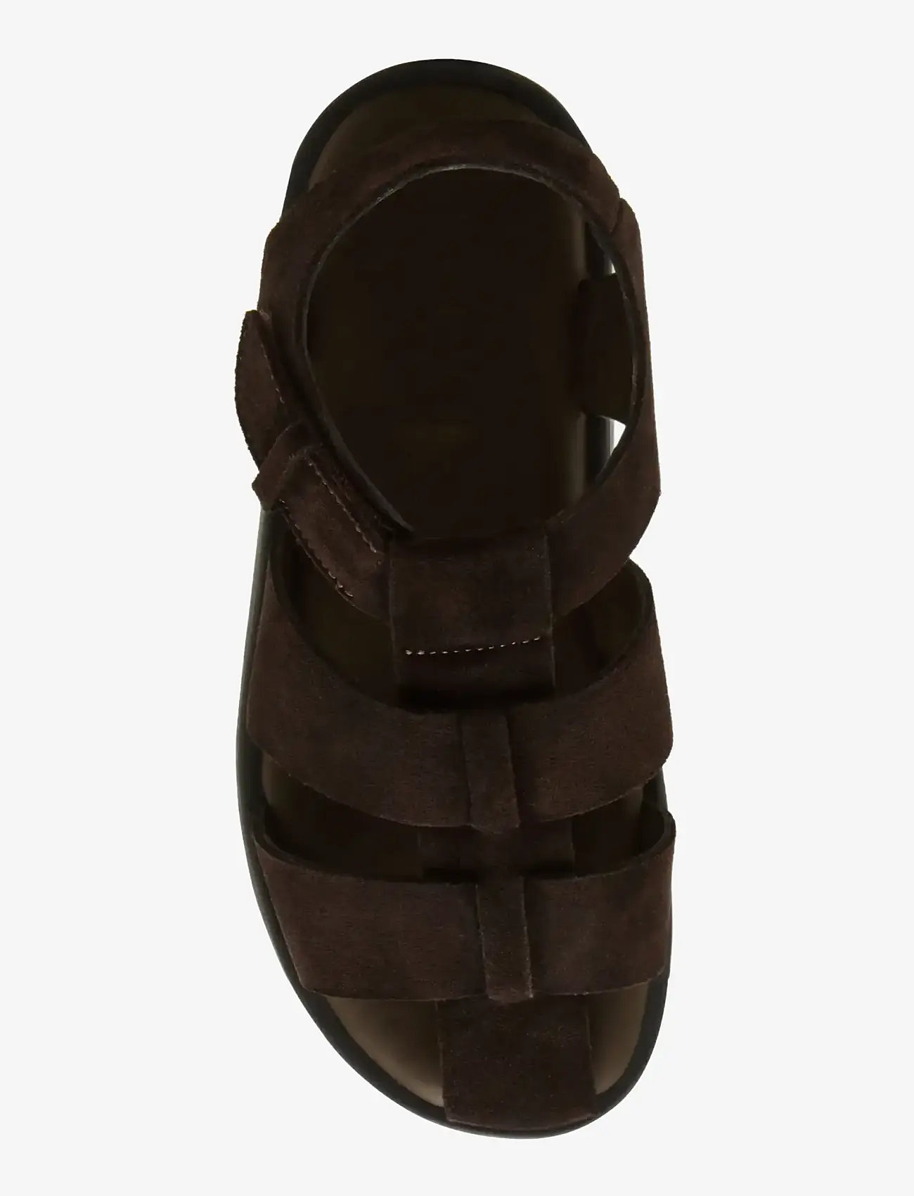 Steve Madden - Gannton - sandaalid - brown - 5