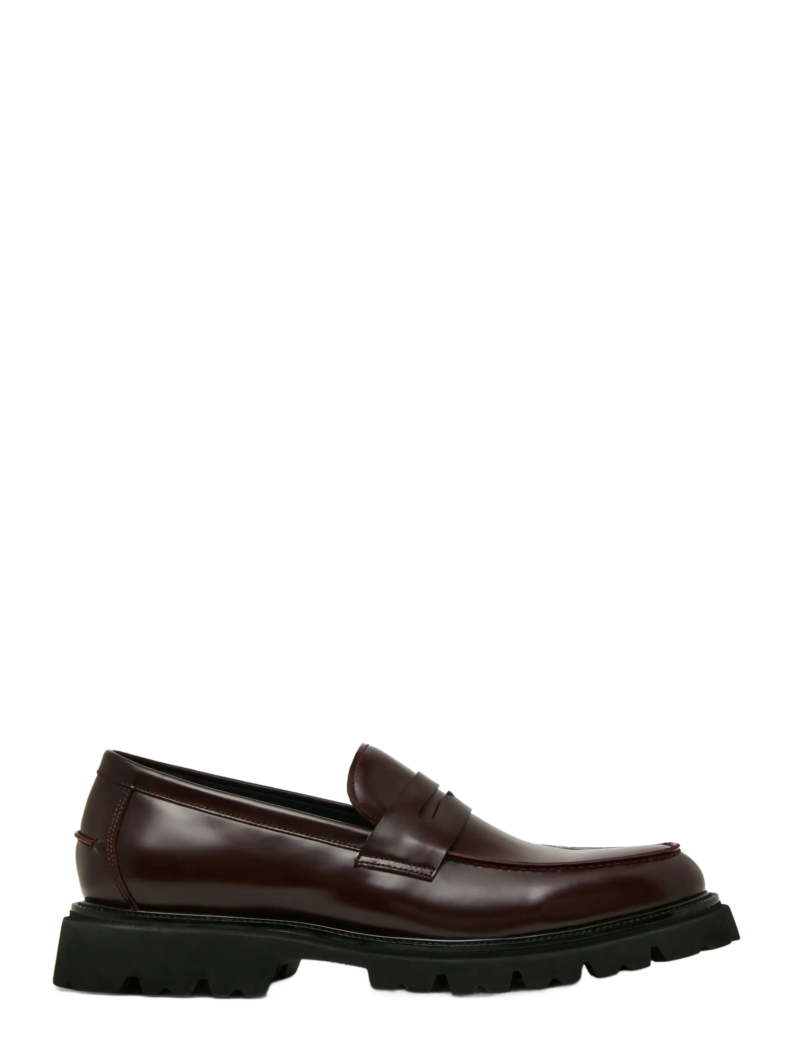 Steve Madden Nomadd - Schuhe - BUG BOX LEATHER / burgundy