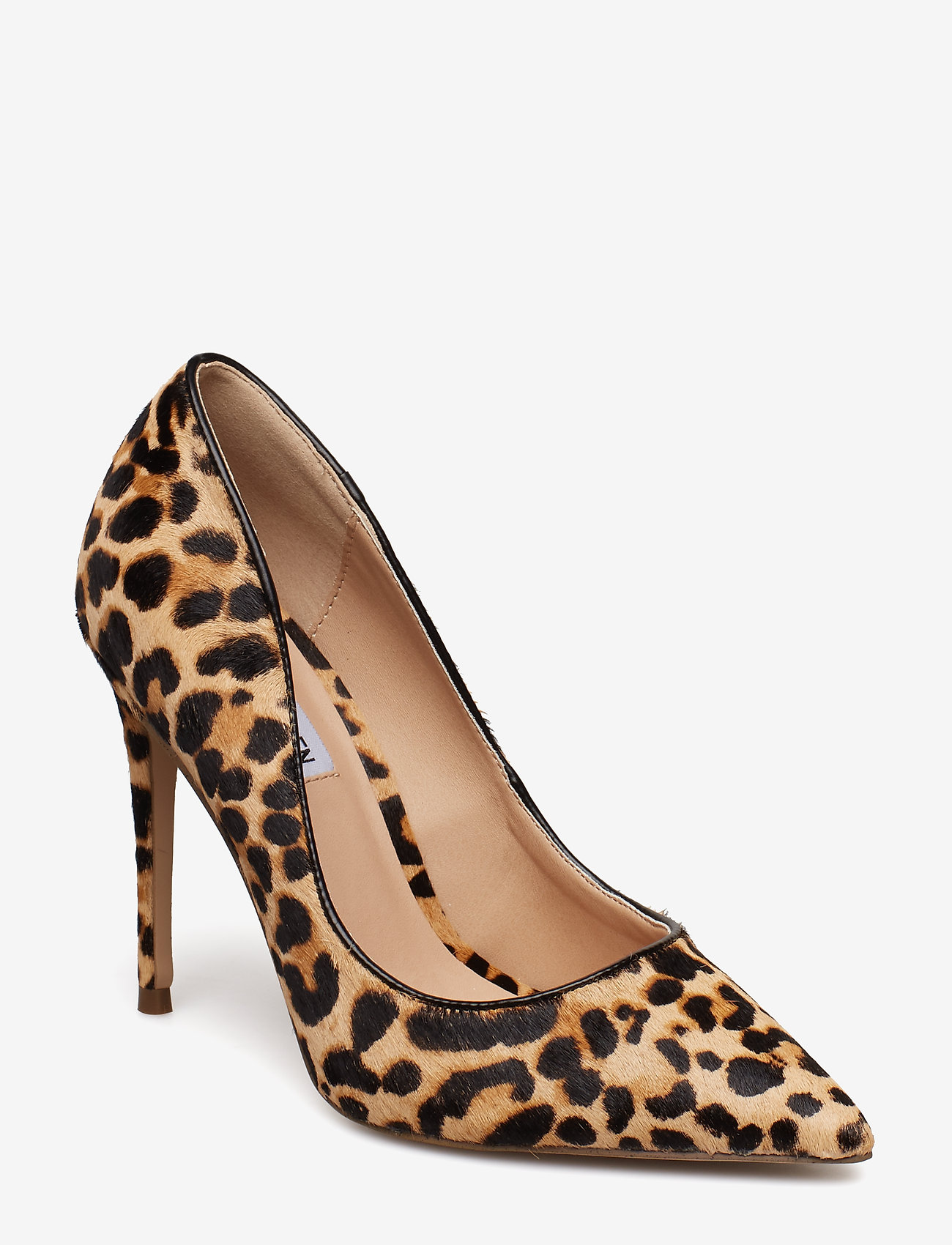 Steve Madden - Daisie-L - leopard - 0