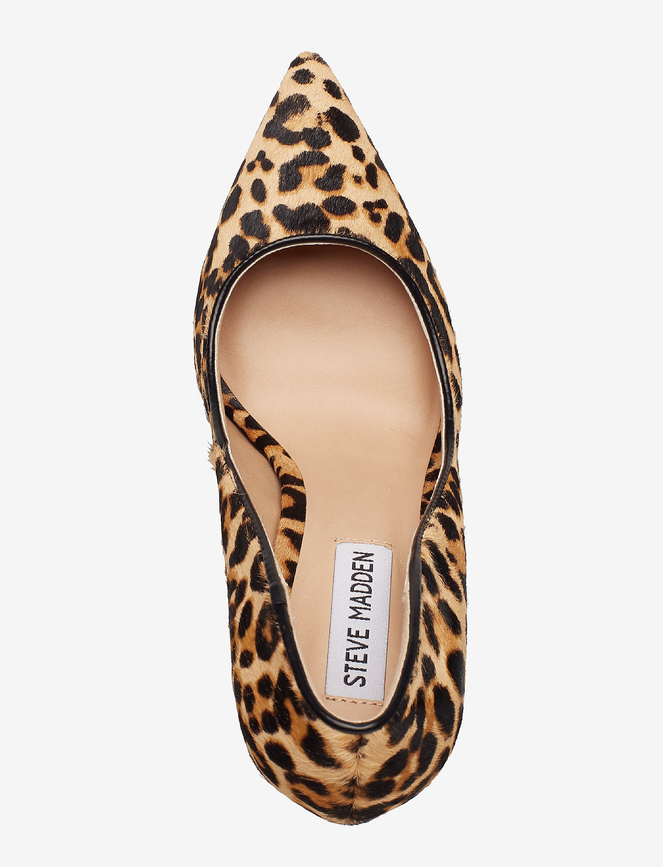 Steve Madden - Daisie-L - leopard - 3