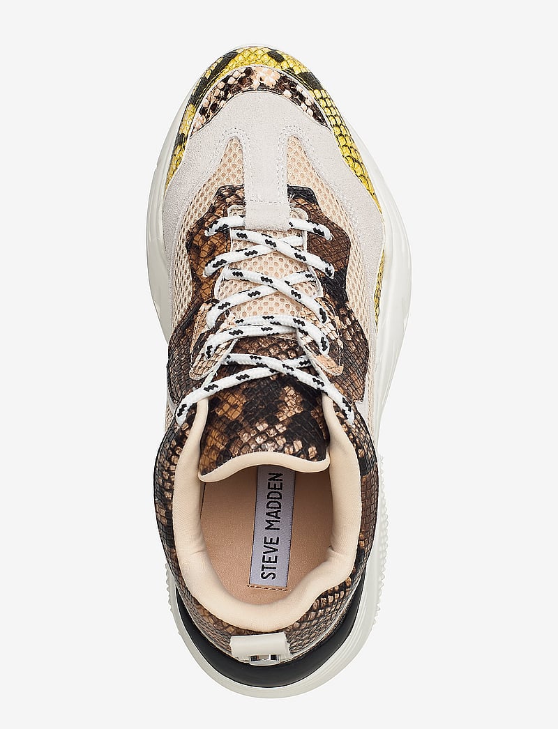 Leopard Print Antonia Sneakers Steve Madden Antonia Sneaker – Low