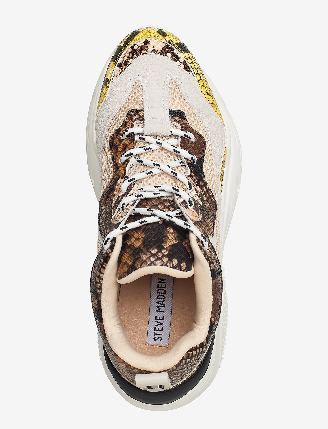Steve Madden - Antonia Sneaker - beige snake - 3