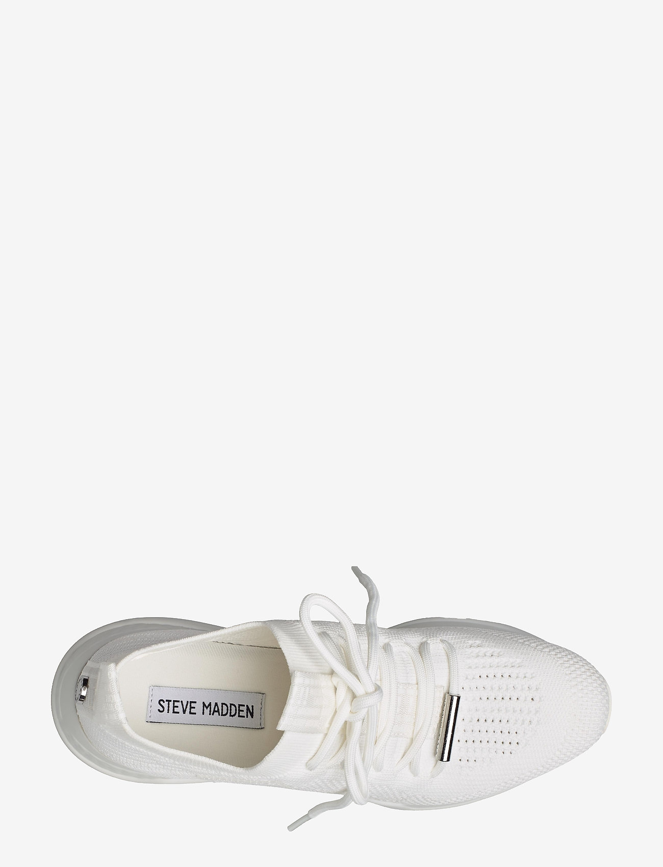 Steve Madden - Cello Sneaker - white/white - 3