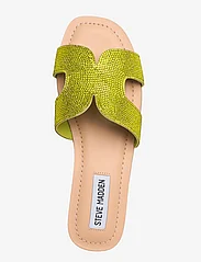 Steve Madden - Zarnia-R Sandal - party wear at outlet prices - lime - 3
