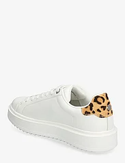 Steve Madden - Catcher Sneaker - low top sneakers - leopard - 2