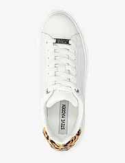 Steve Madden - Catcher Sneaker - low top sneakers - leopard - 3