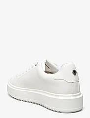 Steve Madden - Catcher Sneaker - sneakers med lavt skaft - white - 2