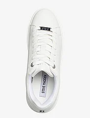 Steve Madden - Catcher Sneaker - låga sneakers - white - 3