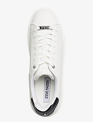 Steve Madden - Catcher Sneaker - låga sneakers - white black - 3