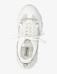 Steve Madden - Miracles Sneaker - sportiska stila apavi ar pazeminātu potītes daļu - white/sil - 3