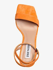 Steve Madden - Luxe Sandal - party wear at outlet prices - orange suede - 3