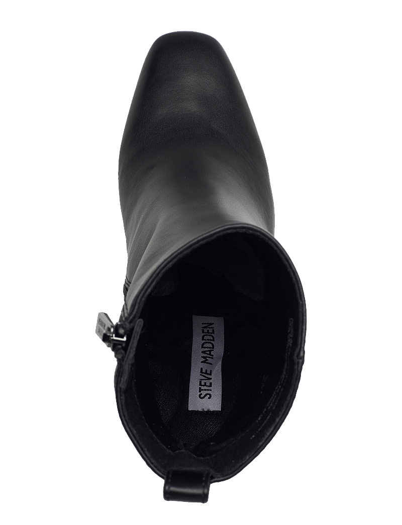 Steve Madden - Adelisa Bootie - enkellaarsjes met hak - black - 3