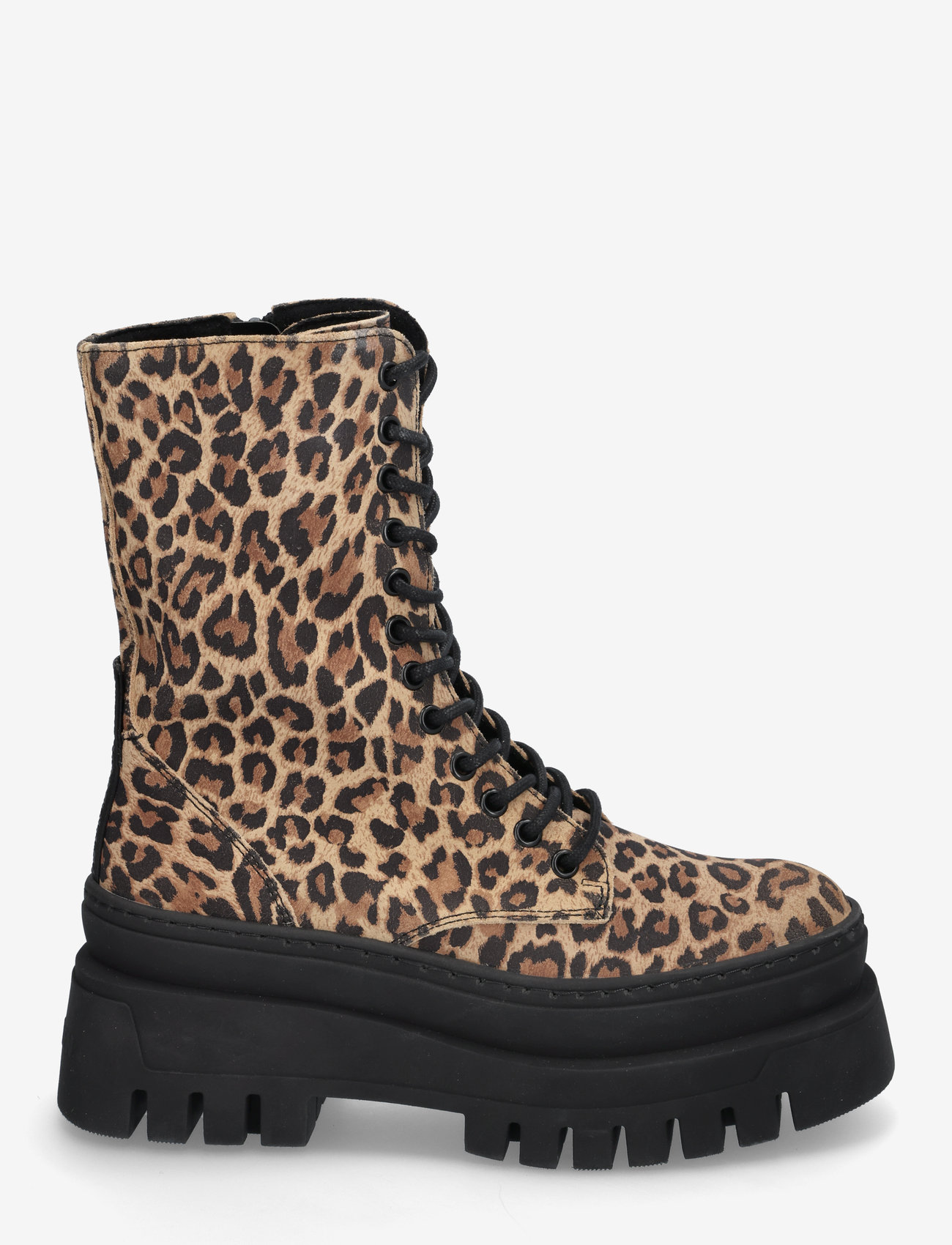 Steve Madden - Coast - kängor - leopard - 1