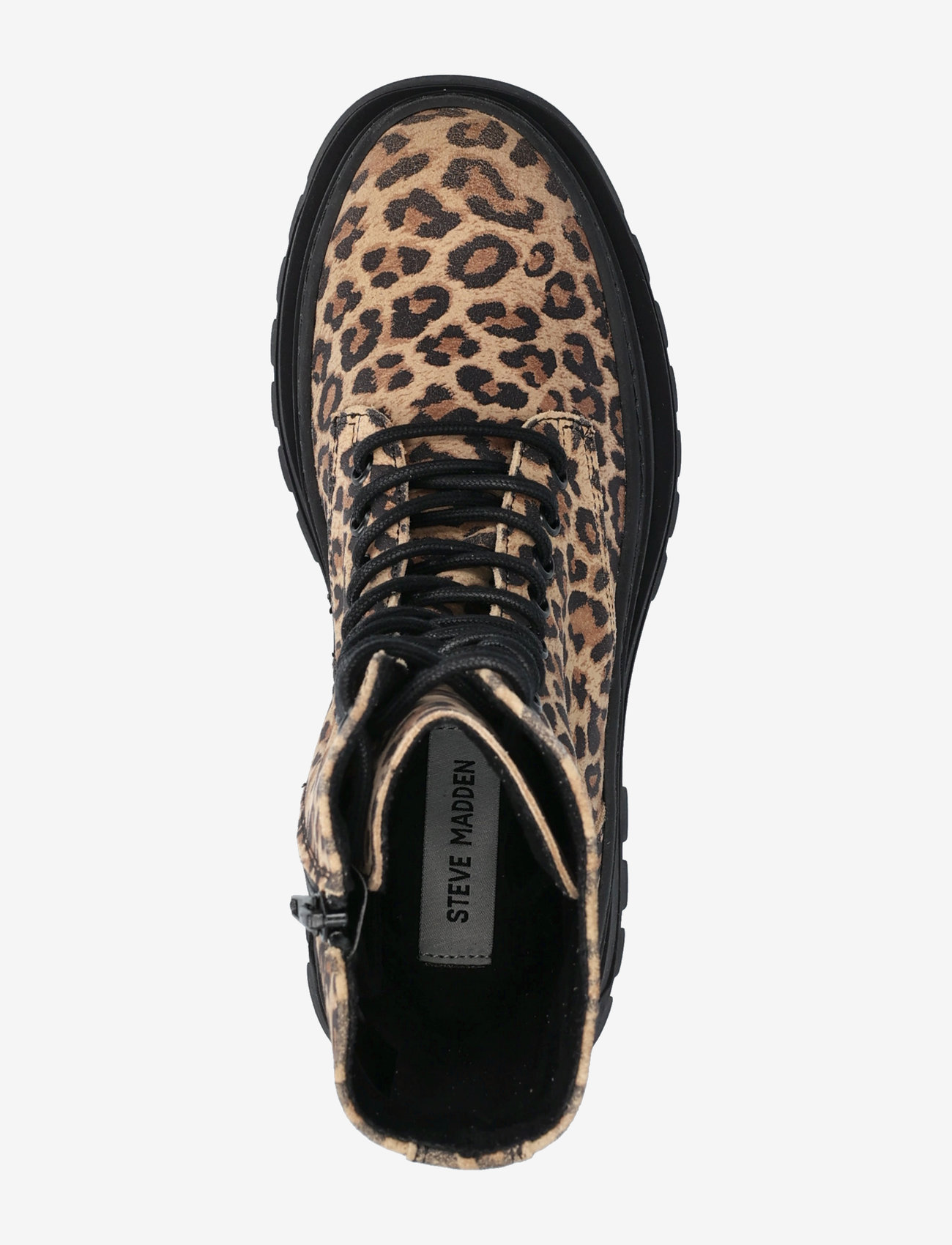 Steve Madden - Coast - kängor - leopard - 3