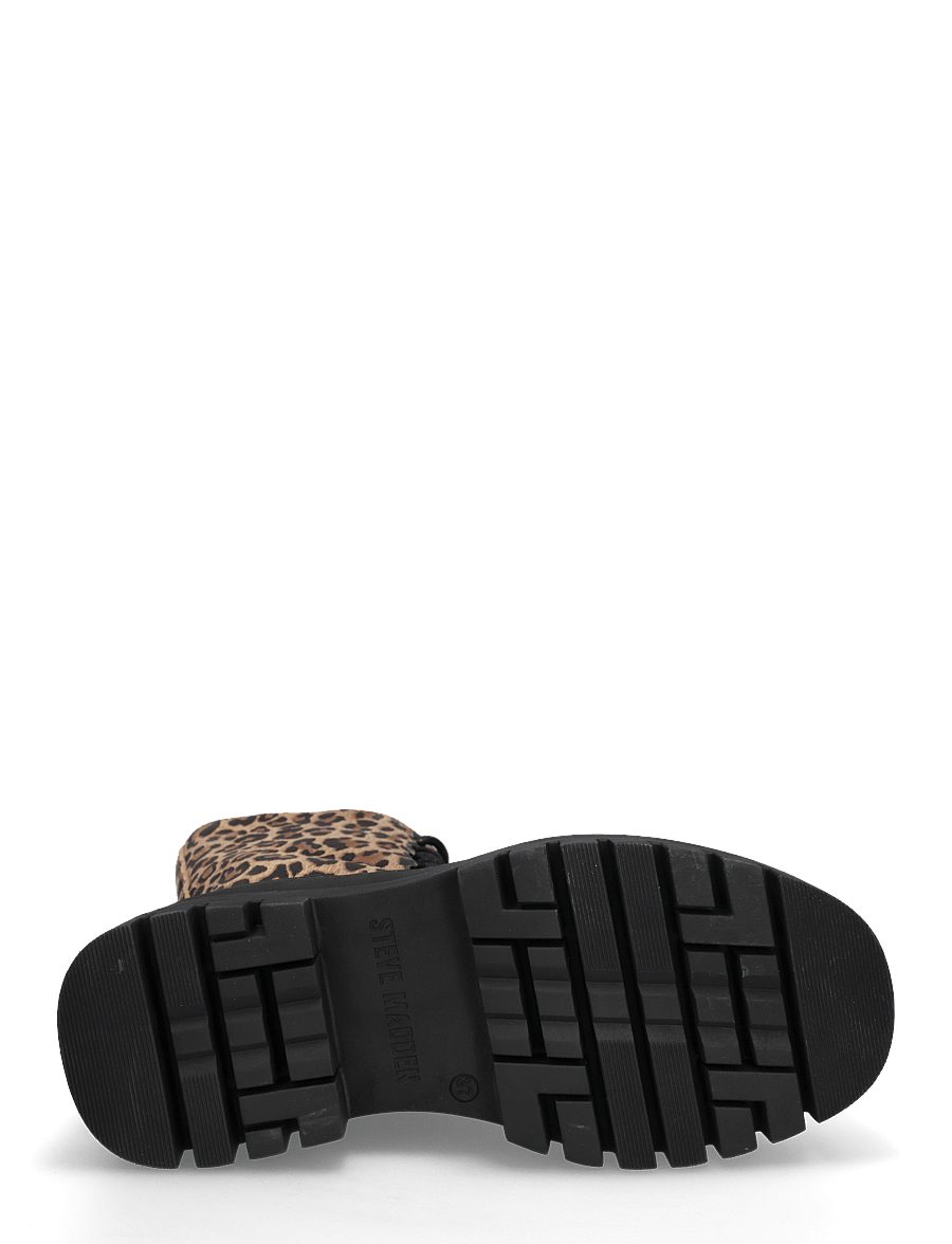 Steve Madden - Coast - geschnürte stiefel - leopard - 4