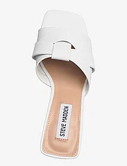 Steve Madden - Amsterdam Sandal - heeled mules - white action leather - 3