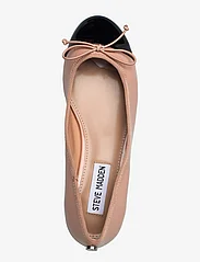 Steve Madden - Cherish-C Ballerina - ballīšu apģērbs par outlet cenām - natural multi - 3