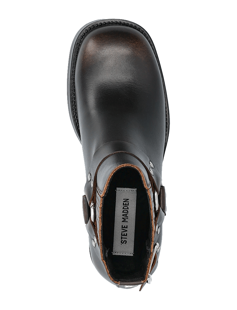 Steve Madden - Breaker Chelsea Boots - arkityyli - brown leather - 3